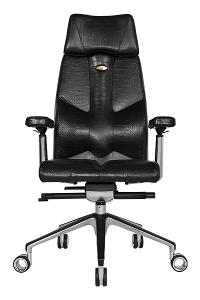 Buy ﻿Ergonomic chair Kulik System CROCO T.REX              