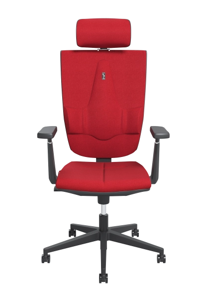 Universal armchair Ergonomic Luxury chair Office Home Computer Kulik System 1106 