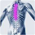 Correzione della postura della colonna vertebrale toracica
