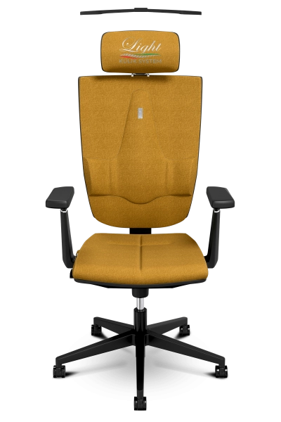  เก้าอี้ออกแบบตามหลักสรีรศาสตร์ KULIK SYSTEM SPACE